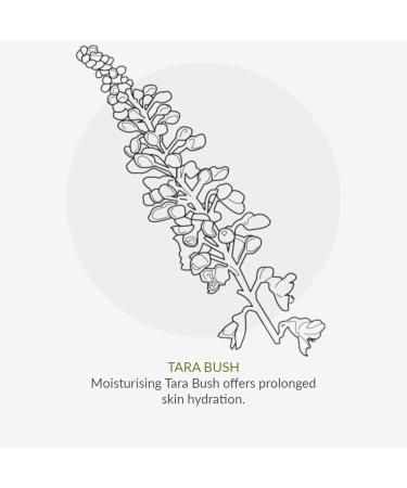 Green People For Men - No. 7 Antioxidant Repair Serum 50ml GP-M007 clear - Buy Online on GoSupps.com