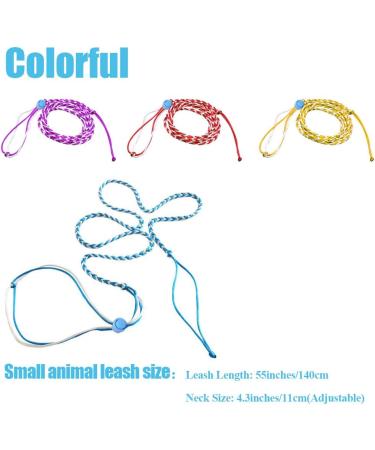 AsoCea 4-Piece Hamster Dishes & Adjustable Nylon Running Line for Guinea Pigs Chinchillas Ferrets Rats Mice & Squirrels - Ideal Pet Accessories - Buy Online on GoSupps.com
