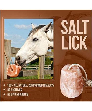 SOO Natural Pure Himalayan Salt Licks for Animals - Great for Horses Cows Deer and Other Livestock - Ropes Included | 1-2kg Salt Lick - Buy Online on GoSupps.com