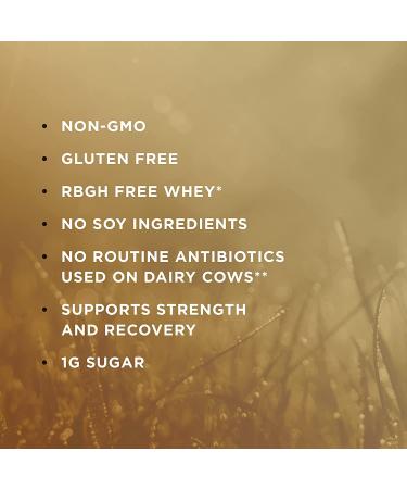 Buy Solgar Whey To Go Vanilla Protein Powder - 12 oz (340 g) for Optimal Performance - Buy Online on GoSupps.com