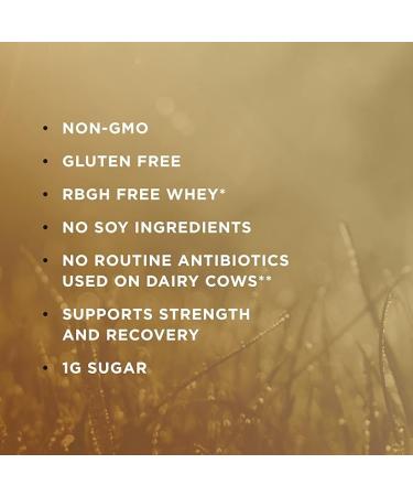 Solgar Grass Fed Whey Protein Powder Vanilla 2lb - 20g New Zealand Protein - Supports Strength & Recovery - 36 Servings - Buy Online on GoSupps.com
