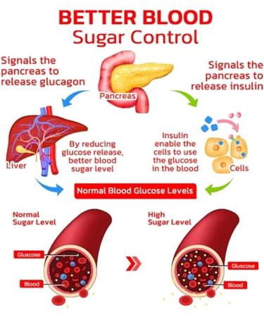 Glucosync Health Control Aerosolizer - 2PCS for Blood Sugar Management | International Shipping Available - Buy Online on GoSupps.com