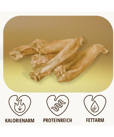 Petlove Rabbit Ears Kausnack for Dogs & Cats - 100% Natural Low-Fat Dental Treats (300g) - Buy Online on GoSupps.com