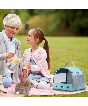 Small Pet Carrier Bag - Portable Guinea Pig, Hamster, Hedgehog Cage - Breathable Travel Handbag for Birds, Rats, Bunnies - Blue - Buy Online on GoSupps.com