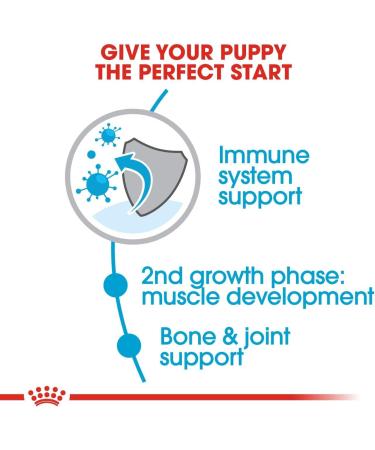 Royal Canin 31 Dog Giant/Junior Food 3.5 kg - Buy Online on GoSupps.com