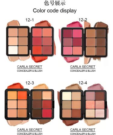  PCC PTYXIS Carmine Contour Color Palette 12 Colors Professional Color Concealer Cream Waterproof Color Palette Suitable for Oily Dry or Sensitive Skin (#12-B 12 Colors) - Buy Online on GoSupps.com