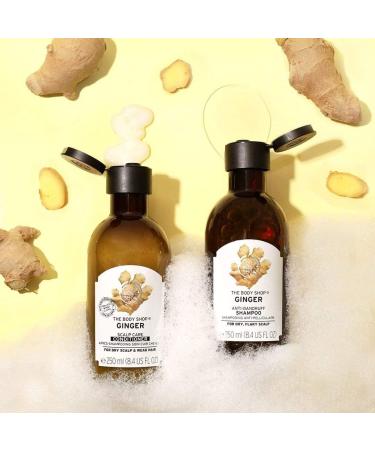 The Body Shop Ginger Anti Dandruff Shampoo Green Honey 400ml - Pack of 1 - Buy Online on GoSupps.com
