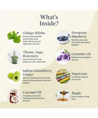 Arata Natural Deep Hydration Combo: Hydrating Shampoo, Body Wash & Conditioner for Men & Women | All Natural, Cruelty-Free | Nourished Hair, Non-Toxic Skincare - Buy Online on GoSupps.com