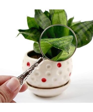 5X Handheld Magnifier Handheld Magnifier with Handle Golden loupe De Lecture Magnifying Glass for Reading Classical Nostalgic Retro Style Magnifier (Golden A) - Buy Online on GoSupps.com