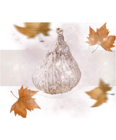 San Blas SL Spanish dried figs sunripened natural untreated Vegan & gluten free 2kg - Buy Online on GoSupps.com