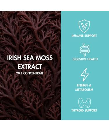 Perform Gummys - Irish Sea Moss - with Burdock Root & Bladderwrack for Natural Energy Digestive & Immune Support - Delicious Berry Bliss Vegan 60 Count - Buy Online on GoSupps.com