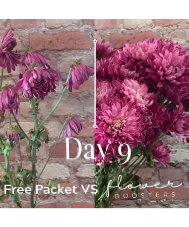 Flower Boosters Cut Flower Food for Fresher Vase Life Up to 20 Days or More (12.5 Ounces) - Buy Online on GoSupps.com