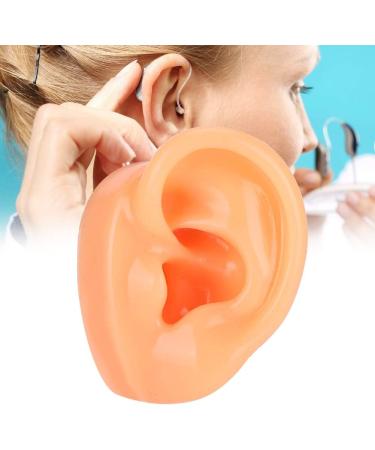 Flexible Silicone Left Ear Model for Realistic Earwax Removal Simulation - Buy Online on GoSupps.com