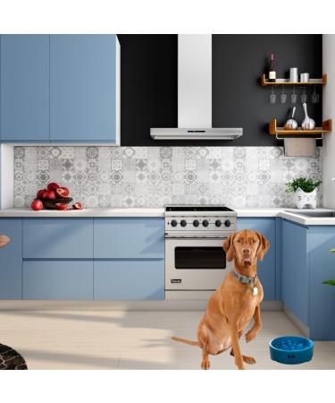Roo & Boo Slow Feeder Dog Bowl - 19cm - Anti-Gulp Anti-Overeating Slow Feeding Bowl for Dogs Promotes Healthy Eating Puppy Slow Feeding Bowl - Bright Colours (Blue) - Buy Online on GoSupps.com