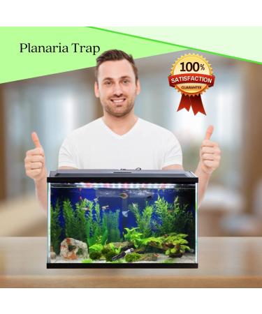 Crystal Red Shrimp Tank Planaria Trap - Bristle Worm Catcher for Cherry Shrimp, Dwarf Shrimp & Ghost Shrimp - Freshwater Cleaning Supplies - Buy Online on GoSupps.com