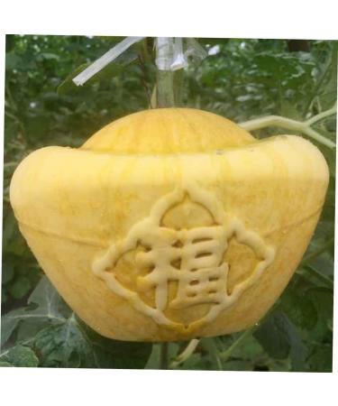GANAZONO 2pcs Plastic Fruit Mini Watermelon Clear Fruit Transparent Forming Mold Shaper Pumpkin Support Frame - Buy Online on GoSupps.com