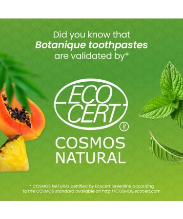 Ecocert Cosmos Natural certified Himalaya Botanique Complete Care Whitening Toothpaste Peppermint Flavor | Fluoride & Gluten Free | Vegan 75 ml - Buy Online on GoSupps.com
