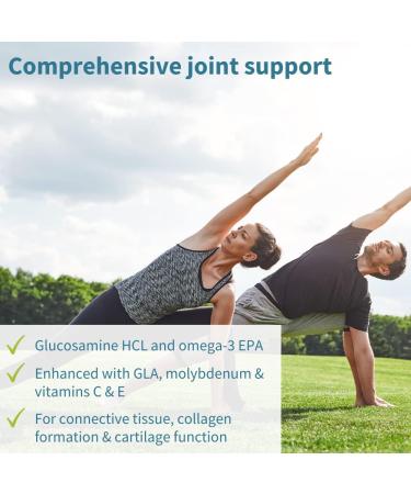 Omegaflex Joint Health Support with Glucosamine  High Strength Fish Oil  Evening Primrose Oil  Vitamin C & E - 60 Softgels - Buy Online on GoSupps.com