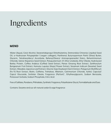 Arey Mend Heat Protectant Leave-In Conditioner - 2 Fl Oz. - Buy Online on GoSupps.com