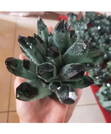 Natural Green Ghost Phantom Quartz Crystal Cluster Rock Stones and Crystals Specimen Home Decor 300-800g NaturalCrystal QINTINYIN (Size : 300-400g) - Buy Online on GoSupps.com