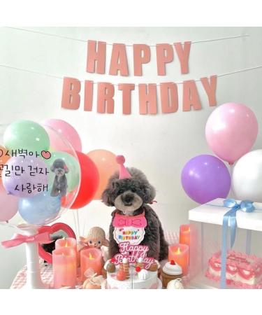 Zhouocea 2 Pcs Cat Birthday Bandana Pink Pet Puppy Birthday Bandana Scarf Party Hat Accessories Cute Birthday Hat for Dog Cat Pet Birthday Party Supplies (Pink) - Buy Online on GoSupps.com