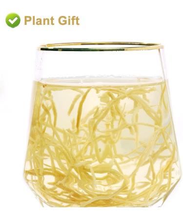 Flower 2 (100G-Ginger) - Buy Online on GoSupps.com