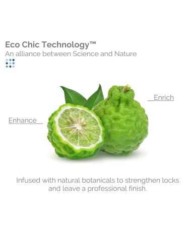 GIOVANNI ECO CHIC Frizz Be Gone - Super Smoothing Anti-Frizz Hair Serum, Adds Shine, Seals in Color, Infused with Natural Botanical Ingredients, Salon Quality, No Parabens - 2.75 oz (1 Pack) Natural 2.75 Fl Oz (Pack of 1) - Buy Online on GoSupps.com