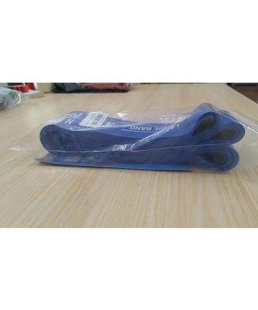 Iron Core Fitness Resistance Bands for Pull Up Assist - Strength Power Flexibility Training | Includes Ebooks & Workout Chart | #6 Blue - Buy Online on GoSupps.com