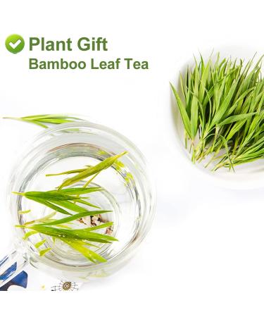 Buy Plantgift Bamboo Leaf Tea - 100% Natural Chinese Flower Tea for Healthy Hair Skin & Nails | 35g - Buy Online on GoSupps.com