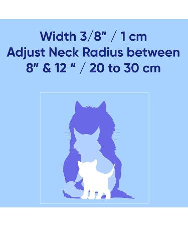 Pawtitas Reflective Cat Collar | Safety Buckle & Bell | Personalized & Customizable | Teal - Buy Online on GoSupps.com