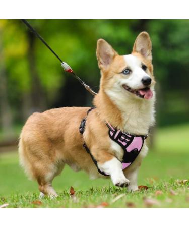 Rabbitgoo No-Pull Dog Harness for Medium & Large Dogs - Adjustable Breathable Safe Pink - Perfect for Training & Everyday Use (1 Pack) - Buy Online on GoSupps.com