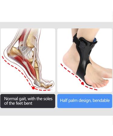 LTLCLZ Drop Foot Brace Ankle Support with Inflatable Airbag for Stroke Hemiplegia XL - Buy Online on GoSupps.com