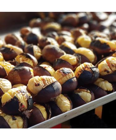 Buy 8x My Bazar Set Tender Roasted Sweet Chestnuts - Peeled Ready to Eat - International Shipping Available - Buy Online on GoSupps.com