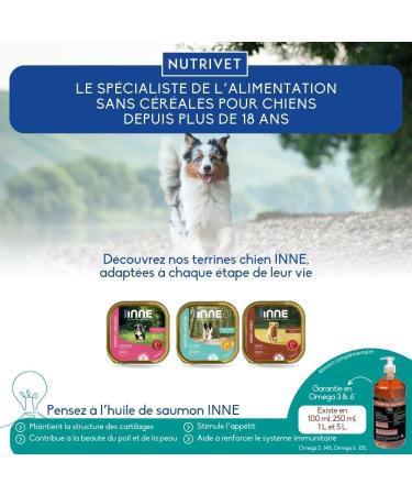 Nutrivet - INNE Dog - TERRINE - Senior Dog - Lamb 150g - Buy Online on GoSupps.com