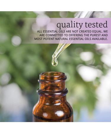 NOW Camphor Oil 1-Ounce (Pack of 2) - Buy Online on GoSupps.com