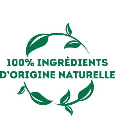 Lipton Green Tea Flavored Green Tea Cold or Hot Infusion Blueberry & Blackberry Taste Wellness 100% Natural Origin Ingredient - Buy Online on GoSupps.com
