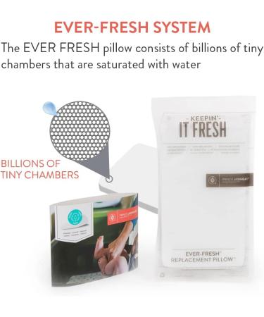 Prince Lionheart Ever-Fresh Replacement Pillows - 2 Count Pack for Ultimate Wipes Warmer - Buy Online on GoSupps.com