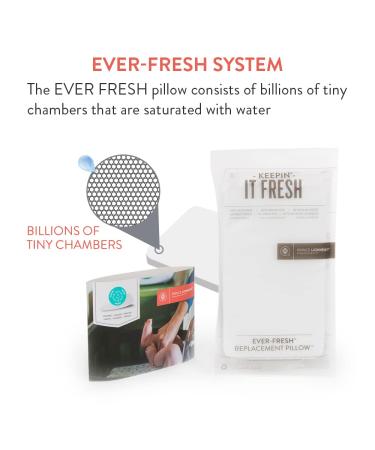 EverFRESH Pillow Replacement for Prince Lionheart Wipes Warmer - 6 Pack - Buy Online on GoSupps.com