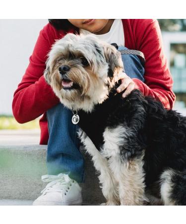 Buy MyLuckytag Stainless Steel Cat QR Code Tags - Pet Profile Location Tracking & Email Alerts - Silver - Buy Online on GoSupps.com