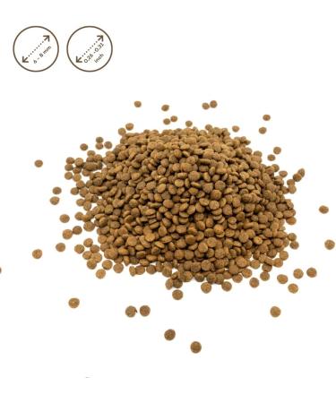 Nature's Protection Hypoallergenic Grain-Free Dog Food - 1.5kg White Fish for Small & Mini Breeds - Superior Care - Buy Online on GoSupps.com