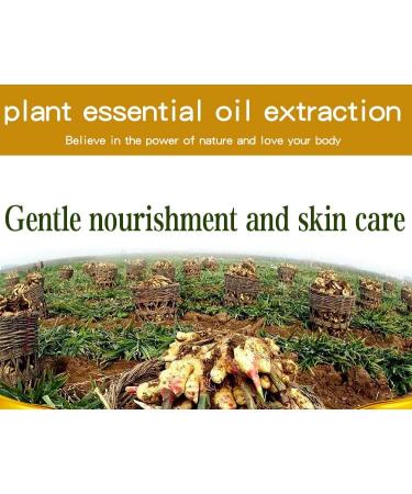 ApePal Belly Drainage Ginger Oil 30ml - Soothe & Detoxify for Digestive Health - Buy Online on GoSupps.com