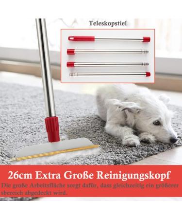 Adjustable Animal Hair Remover Carpet Rake Reusable Fur Broom for Couch Car and Furniture - Efficient Dog & Cat Hair Removal Tool - Buy Online on GoSupps.com