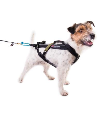 Non-Stop Dogwear Freemotion Harness Size 7 | Black Pulling Harness for Dogs | Head 52cm Neck 44-48cm - International Shipping Available - Buy Online on GoSupps.com