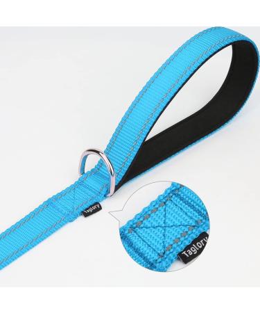 Taglory Reflective Dog Leash for Medium & Large Dogs - Padded Handle Supports 10-75kg 1.2m x 2.5cm Himmel Blue - Perfect for International Shipping - Buy Online on GoSupps.com