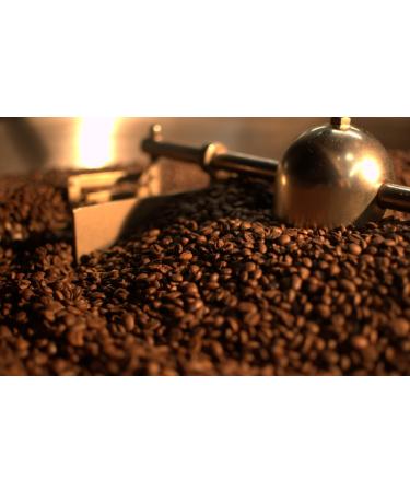 Ethiopian Sidamo Medium Roast Coffee Beans 1kg pack - Buy Online on GoSupps.com