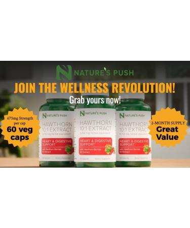 Nature's Push Super Potent Hawthorn Berry Supplement 10:1 Extract 675mg Capsules for Digestion Heart Health Glycemic Support-Extra Strength Non-GMO Gluten Free Vegan GMP USA (60 Count (Pack of 1)) - Buy Online on GoSupps.com