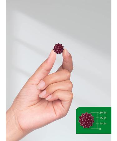 Horbaach Elderberry Gummies with Zinc, Vitamin C | 120 Vegan Non-GMO Gluten Free Gummies for Adults - Black Elderberry Supplement - Buy Online on GoSupps.com