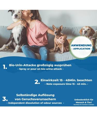 Pandacleaner Bio Urine Attack - Cat & Dog Smell Remover | 2000ml Concentrate Carpet Cleaner & Odor Neutralizer (2 Pack) - Effective Stain Remover for Home - Buy Online on GoSupps.com