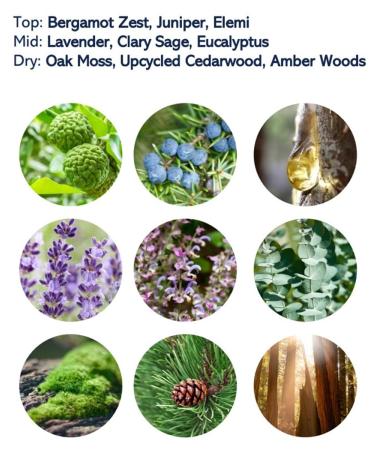 US Polo Association USPA for Men - 4-Piece Gift Set - Buy Online on GoSupps.com