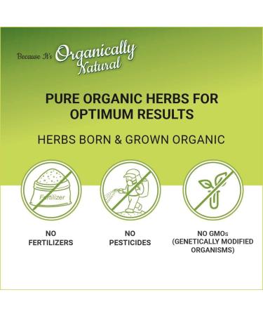Indus Valley Organic Permanent Gel Hair Color - Ammonia Free, Vegan, Cruelty Free | Black 1.0 | 100% Gray Coverage | Doctor Recommended | Bio Natural Certified - Buy Online on GoSupps.com
